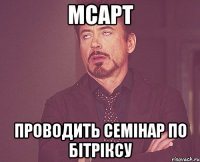 мсарт проводить семінар по бітріксу