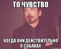 то чувство когда они действительно о собаках