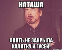 наташа опять не закрыла калитку и гусей!