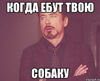 когда ебут твою собаку