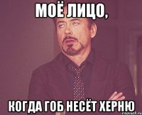 моё лицо, когда гоб несёт херню