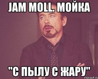 Jam Moll. Мойка "С пылу С жару"