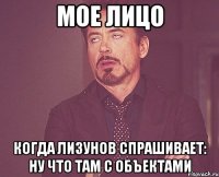 Мое лицо Когда Лизунов спрашивает: ну что там с объектами