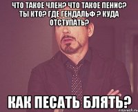 что такое член? что такое пенис? ты кто? где гендальф ? куда отступать? как песать блять?