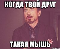 Когда твой друг такая мышь