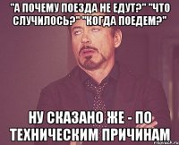 "А почему поезда не едут?" "Что случилось?" "Когда поедем?" Ну сказано же - ПО ТЕХНИЧЕСКИМ ПРИЧИНАМ