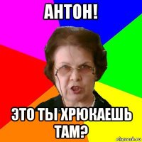 Антон! это ты хрюкаешь там?