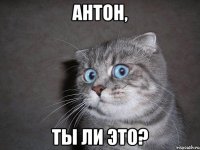 антон, ты ли это?