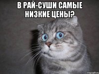 в рай-суши самые низкие цены? 