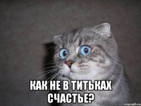  как не в титьках счастье?