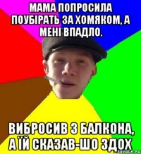 мама попросила поубірать за хомяком, а мені впадло. вибросив з балкона, а їй сказав-шо здох