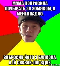 мама попросила поубірать за хомяком, а мені впадло. вибросив його з балкона, а їй сказав-шо здох