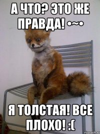 а что? это же правда! •~• я толстая! все плохо! :(