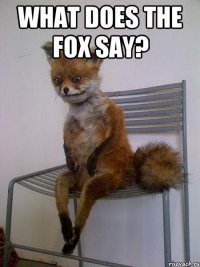 what does the fox say? 