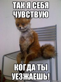 так я себя чувствую когда ты уезжаешь!