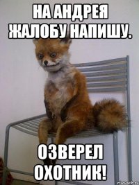 на андрея жалобу напишу. озверел охотник!