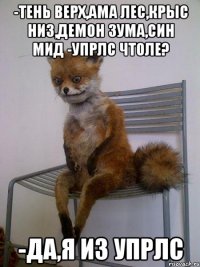 -Тень верх,ама лес,крыс низ,демон зума,син мид -упрлс чтоле? -да,я из упрлс