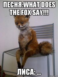 песня:what does the fox say!!! лиса: ...