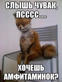 Слышь чувак, псссс..... Хочешь амфитаминок?