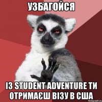 узбагойся із Student Adventure ти отримаєш візу в США