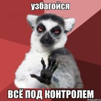  Всё под контролем