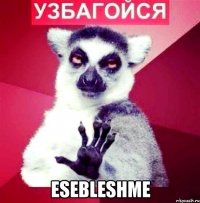  esebleshme