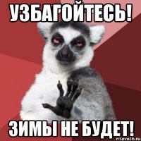 узбагойтесь! зимы не будет!