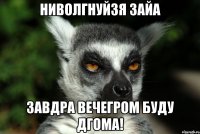 ниволгнуйзя зайа завдра вечегром буду дгома!