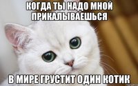 Когда ты надо мной прикалываешься в мире грустит один котик