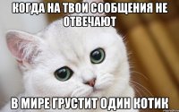 Когда на твои сообщения не отвечают в мире грустит один котик