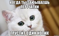 когда ты заюываешь пертчатки грустит один котик