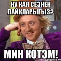 Ну кая сезнен лайкларыгыз? Мин котэм!