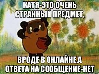 Катя-это очень странный предмет, Вроде в онлайне,а ответа на сообщение-нет