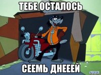 тебе осталось сеемь днееей