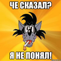 ЧЕ СКАЗАЛ? Я НЕ ПОНЯЛ!