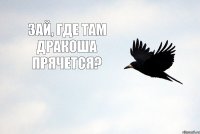 ЗАЙ, ГДЕ ТАМ ДРАКОША ПРЯЧЕТСЯ?