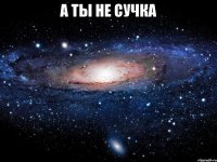 а ты не сучка 