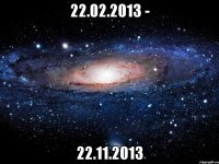 22.02.2013 - 22.11.2013