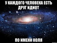 У каждого человека есть друг идиот по имени Коля