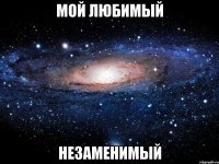 мой любимый Незаменимый