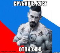 Срубишь куст отпизжю