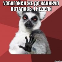 узбагойся же до каникул осталась 4 недели 