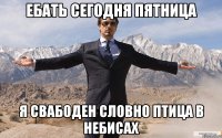 Ебать сегодня пятница я свабоден словно птица в небисах