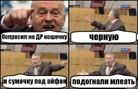 Попросил на ДР кошечку черную и сумочку под айфон подогнали млеать