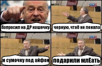 Попросил на ДР кошечку черную, чтоб не леняла и сумочку под айфон подарили млЕать