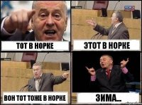 Тот в норке этот в норке вон тот тоже в норке Зима...