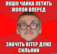 якшо чайка летить жопой вперед значіть вітер дуже сильний