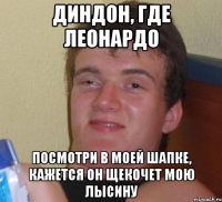 ДИНДОН, ГДЕ ЛЕОНАРДО ПОСМОТРИ В МОЕЙ ШАПКЕ, КАЖЕТСЯ ОН ЩЕКОЧЕТ МОЮ ЛЫСИНУ