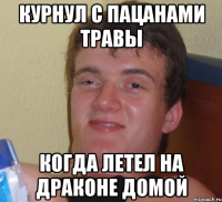 курнул с пацанами травы Когда летел на драконе домой