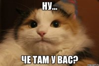 Ну... Че там у вас?